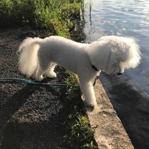 Meet your Posher, Wanda